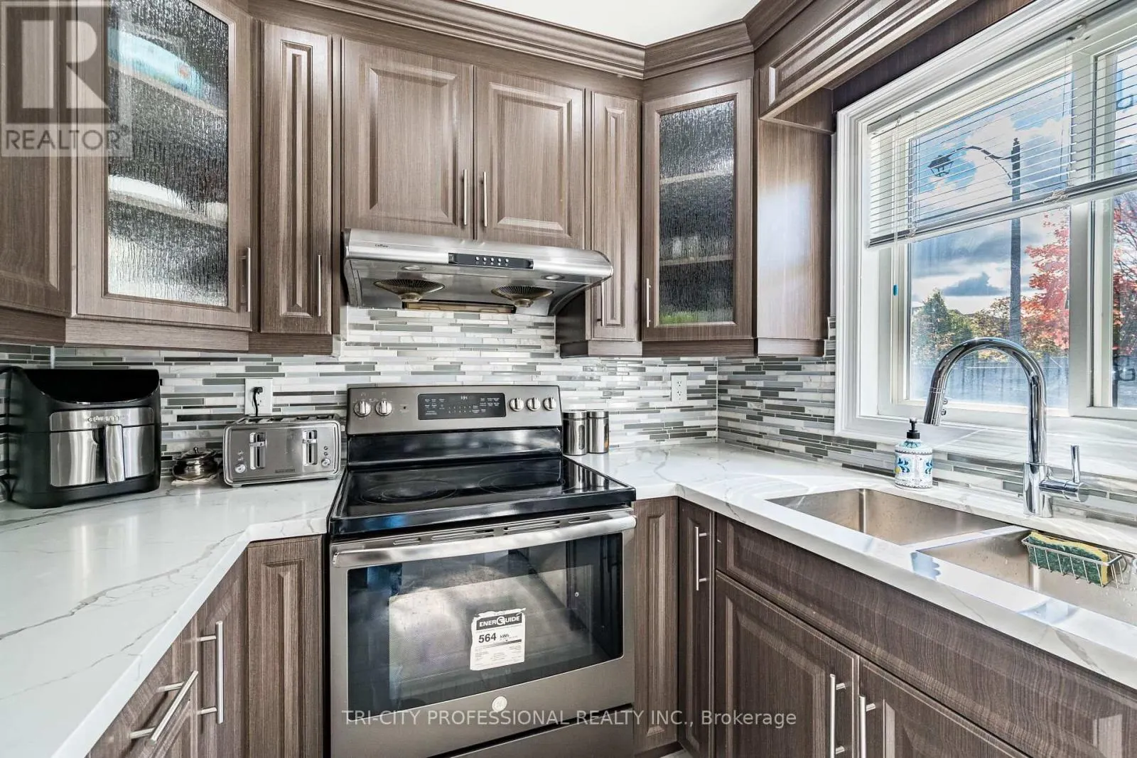 101 WILLIAMSON DRIVE