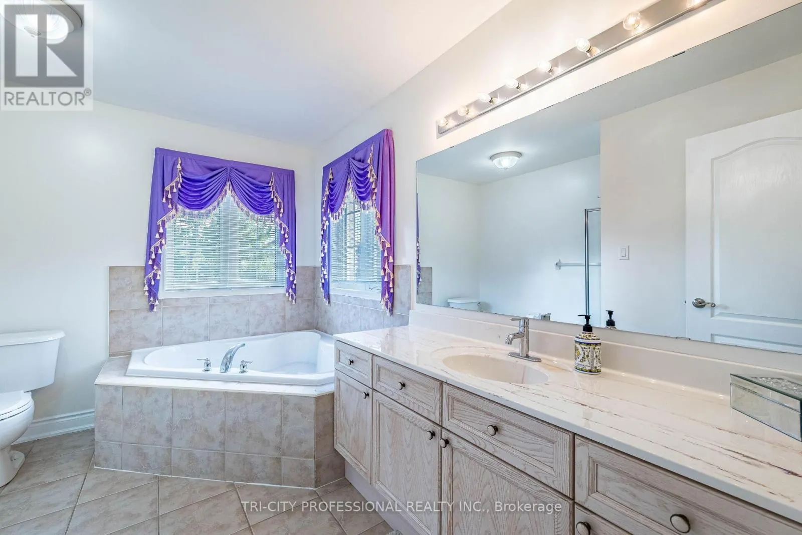 101 WILLIAMSON DRIVE