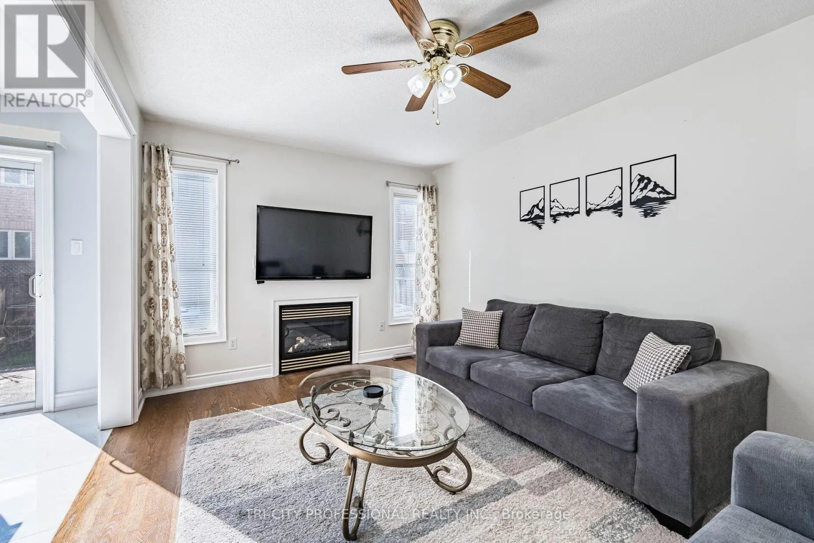 101 WILLIAMSON DRIVE