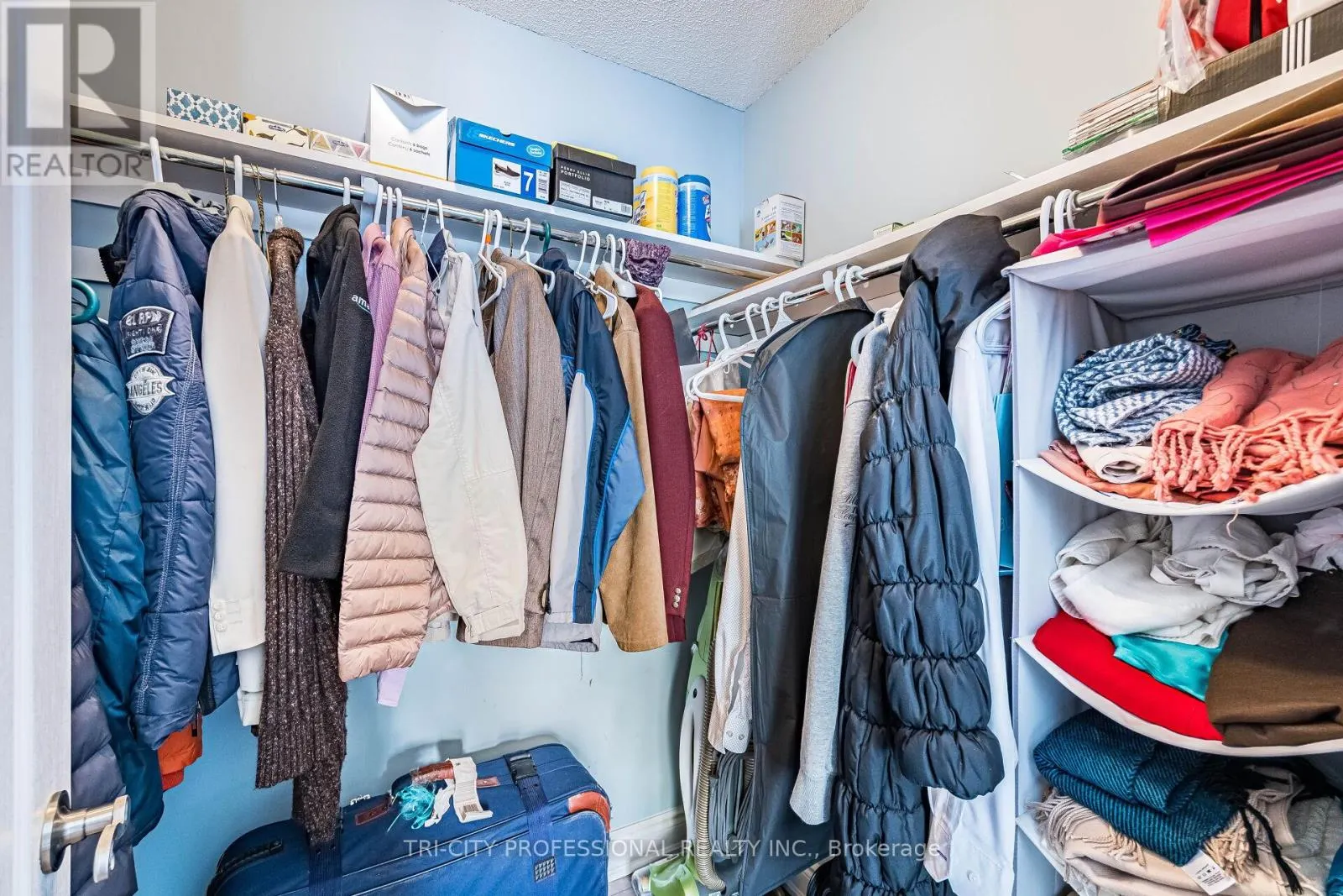 101 WILLIAMSON DRIVE