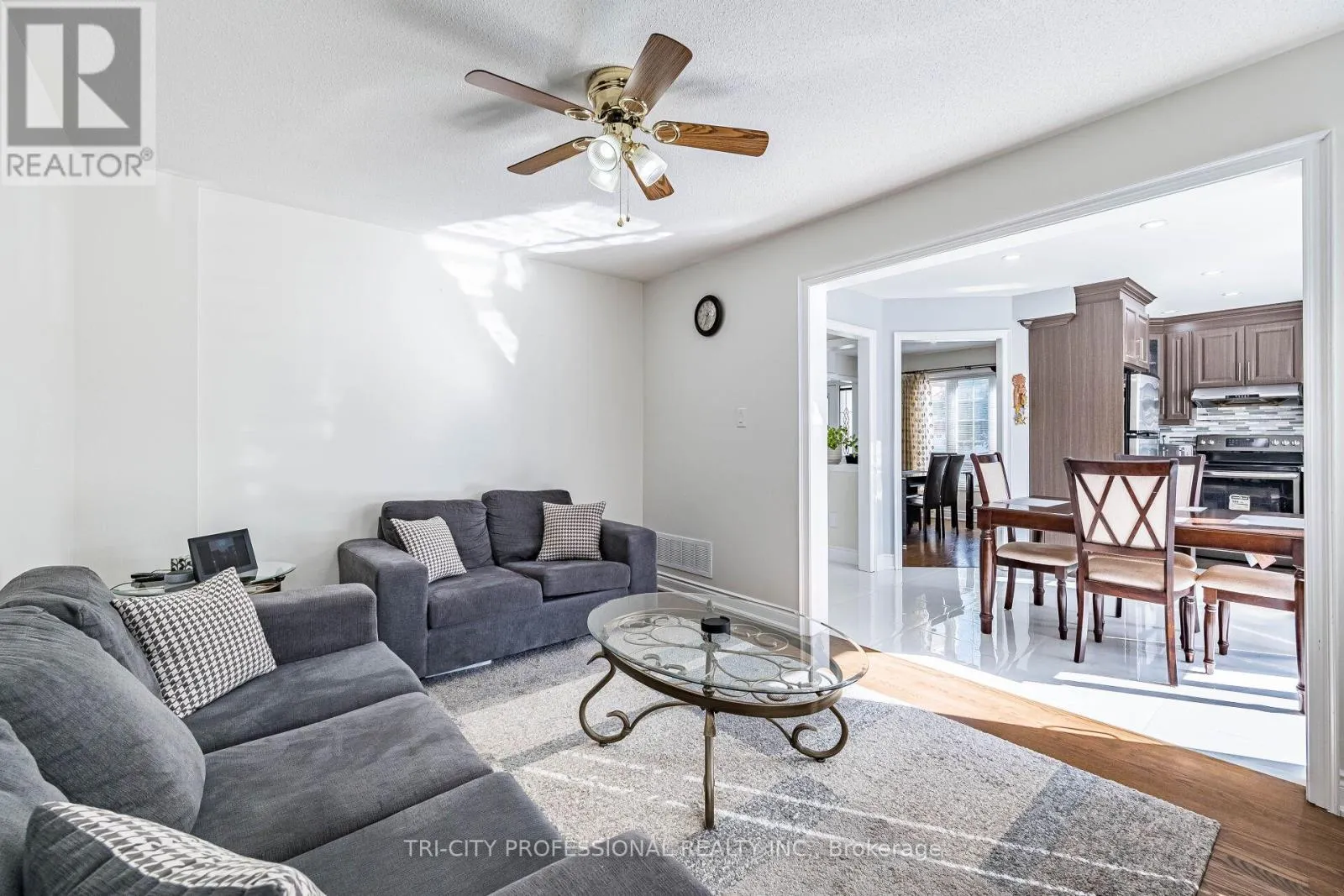 101 WILLIAMSON DRIVE