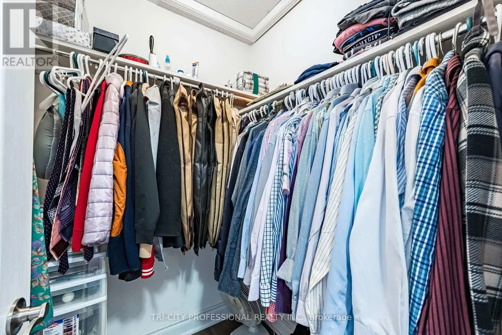 101 WILLIAMSON DRIVE