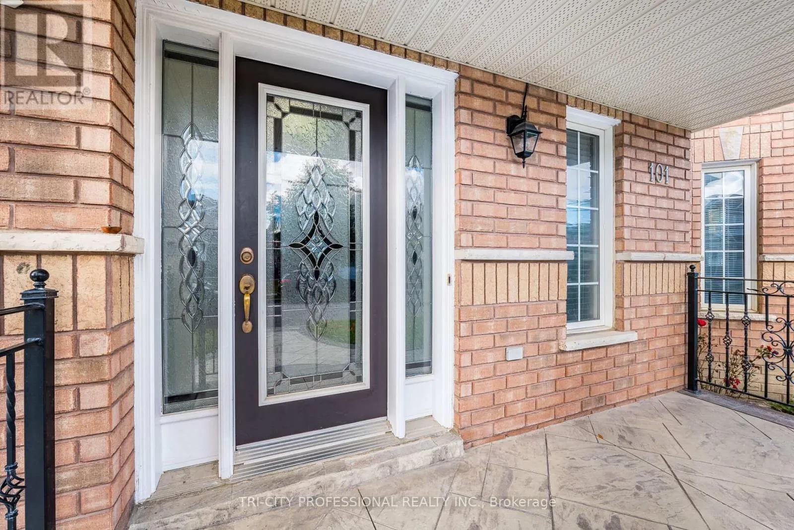 101 WILLIAMSON DRIVE