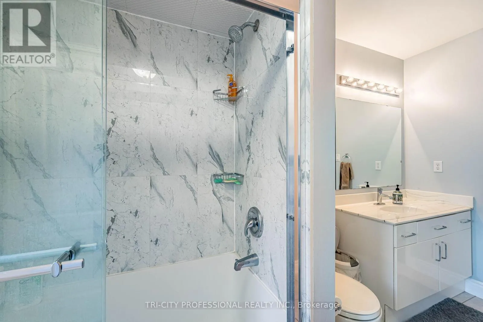 101 WILLIAMSON DRIVE