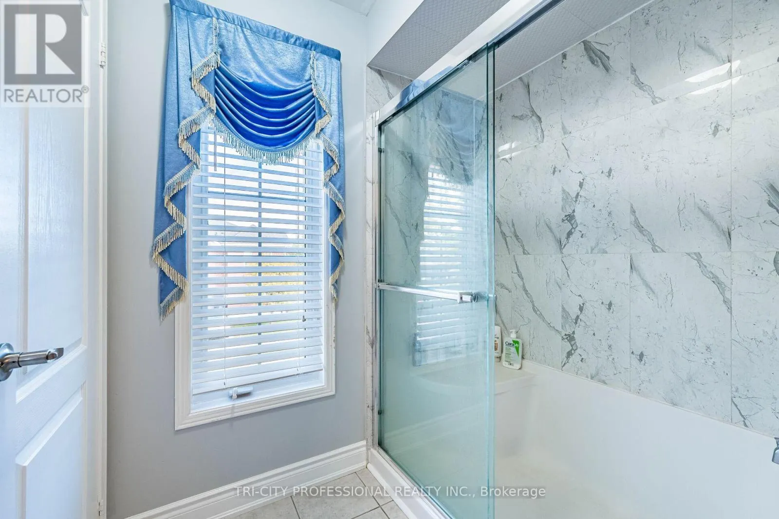 101 WILLIAMSON DRIVE