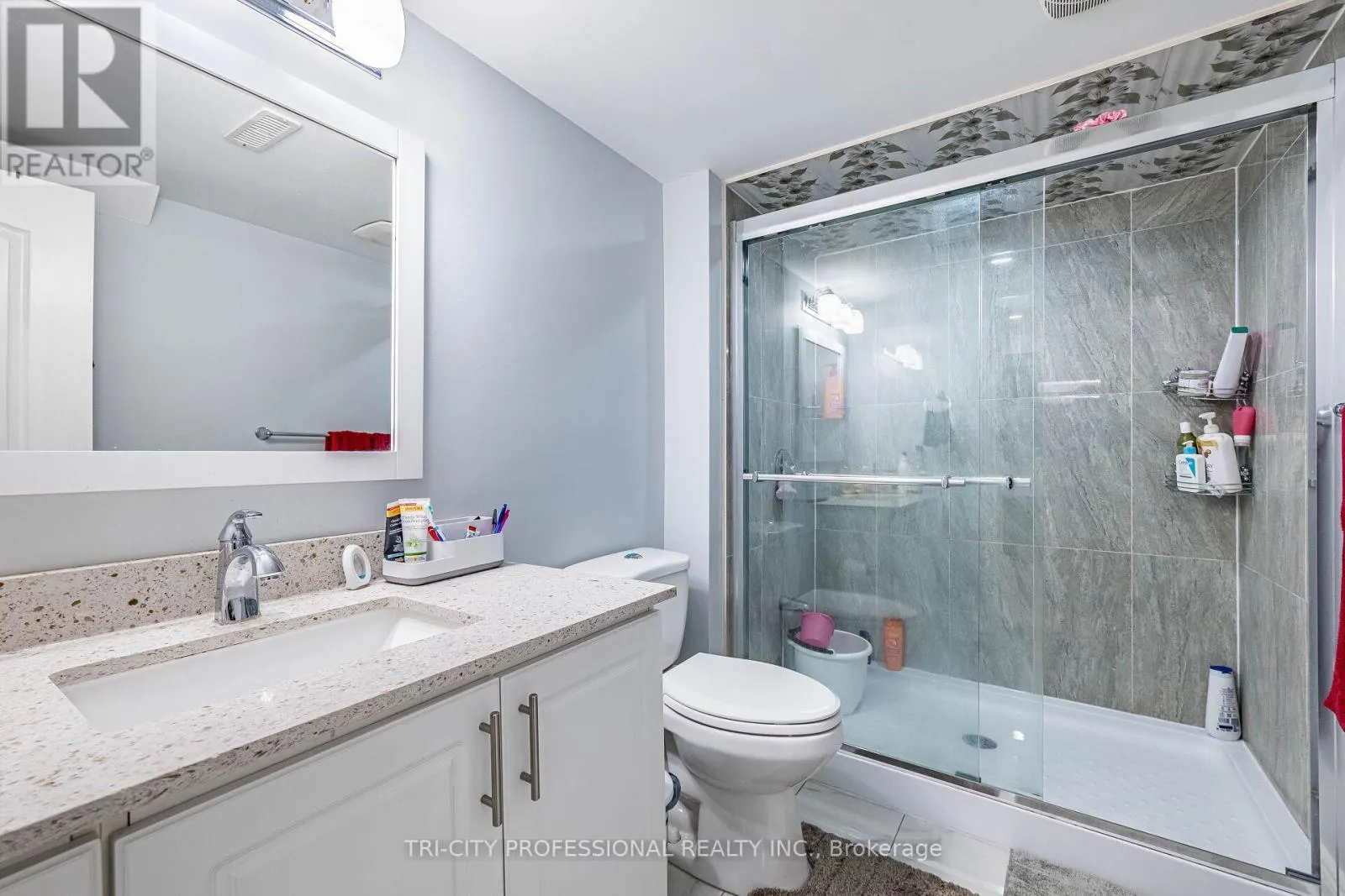 101 WILLIAMSON DRIVE