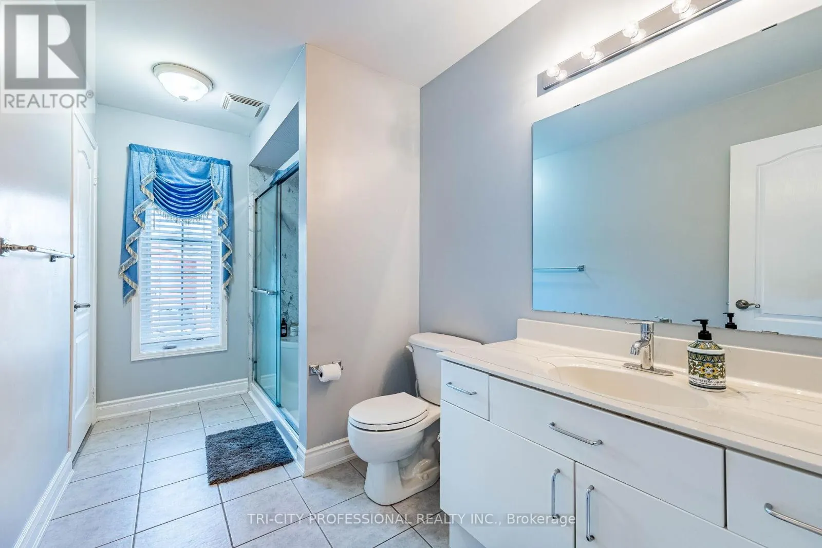 101 WILLIAMSON DRIVE