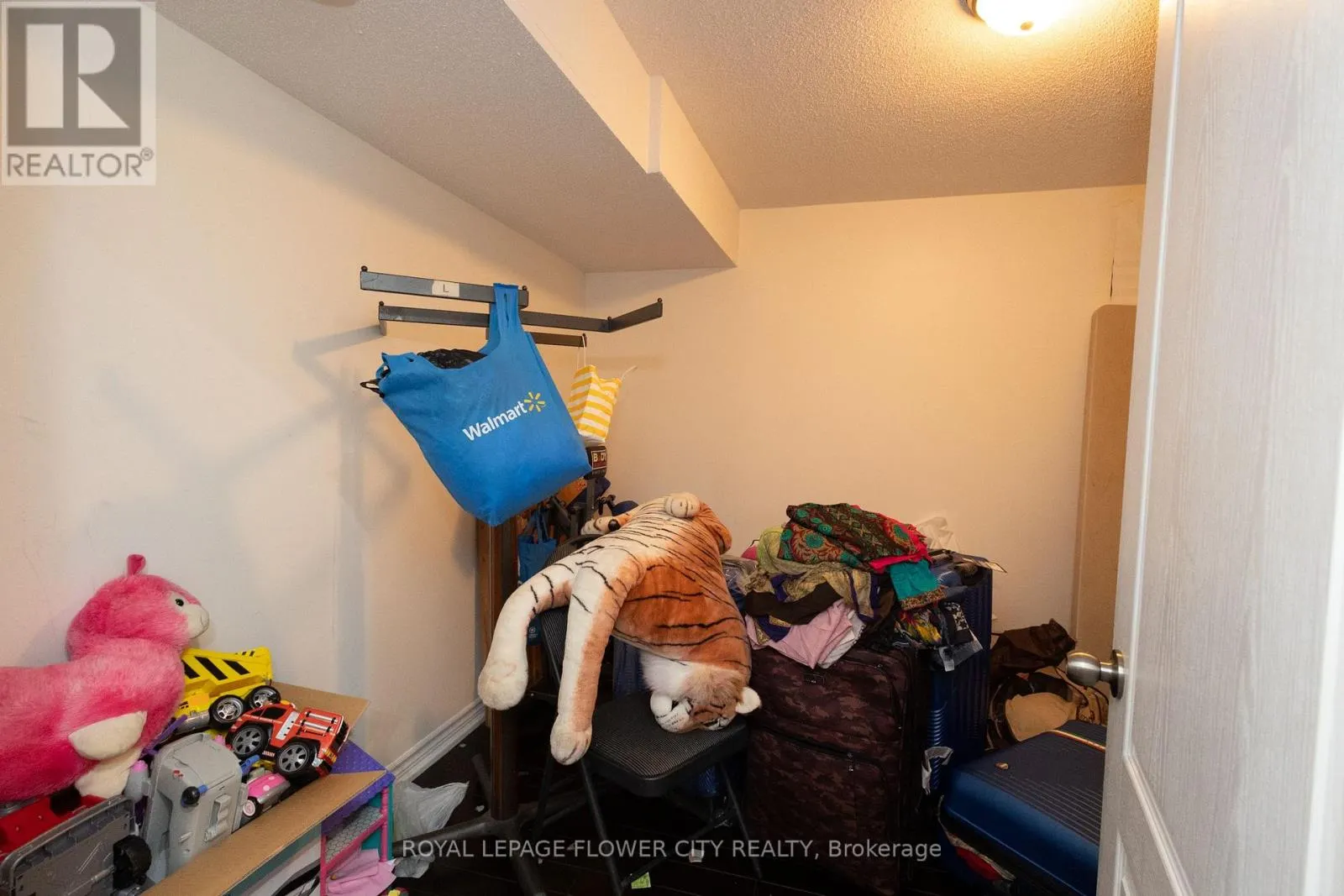 BASEMENT - 159 LIONHEAD GOLF CLUB ROAD