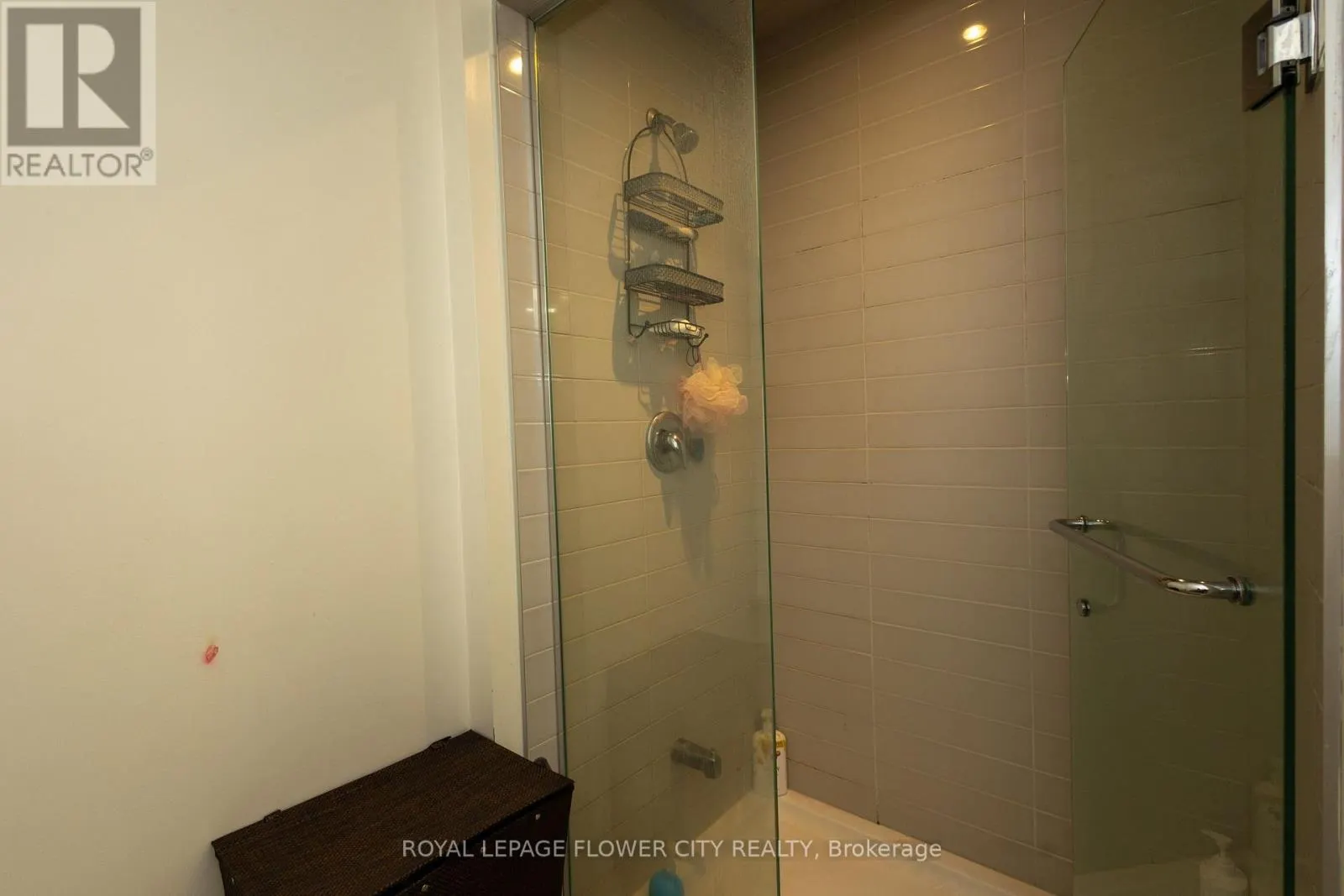 BASEMENT - 159 LIONHEAD GOLF CLUB ROAD