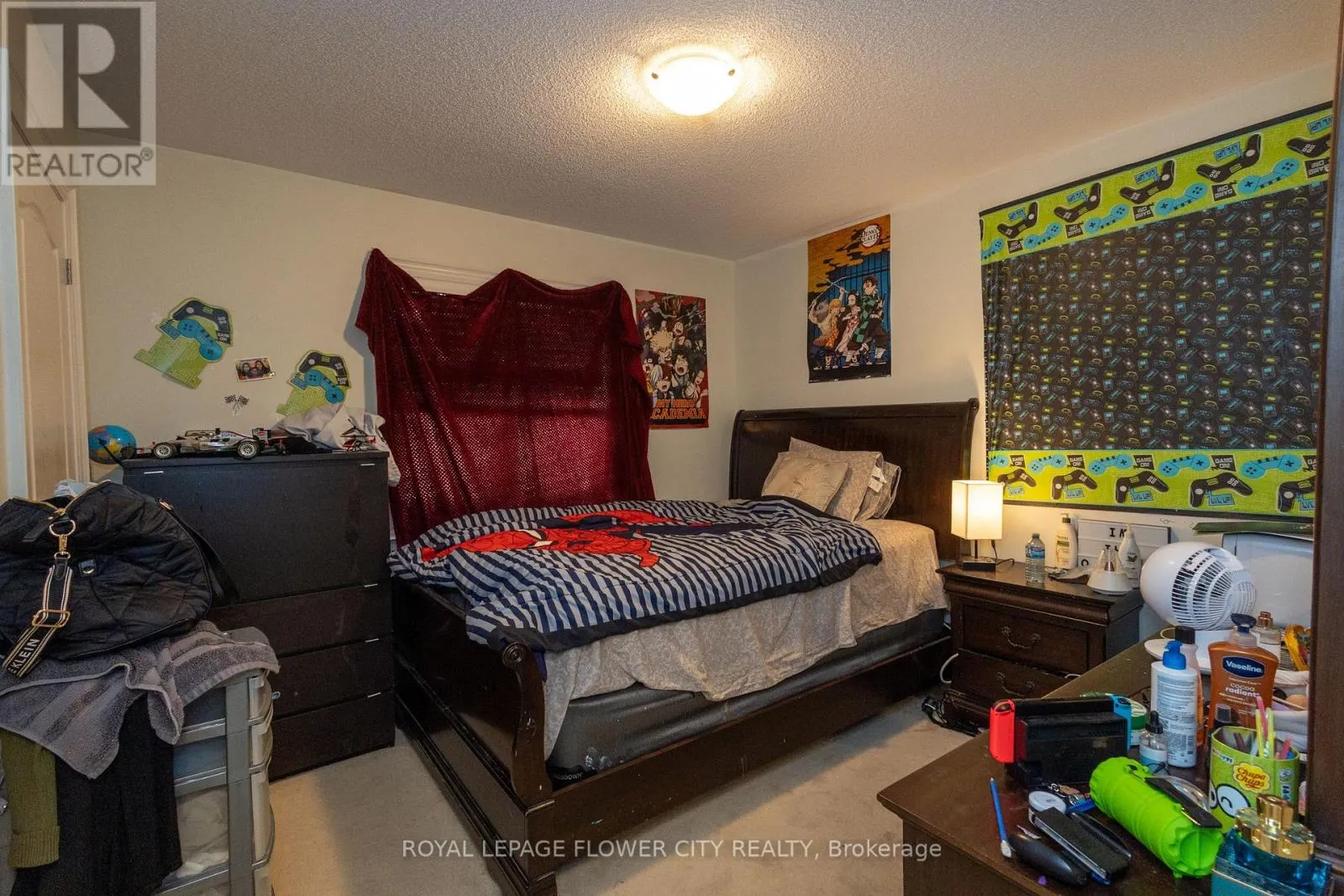 BASEMENT - 159 LIONHEAD GOLF CLUB ROAD