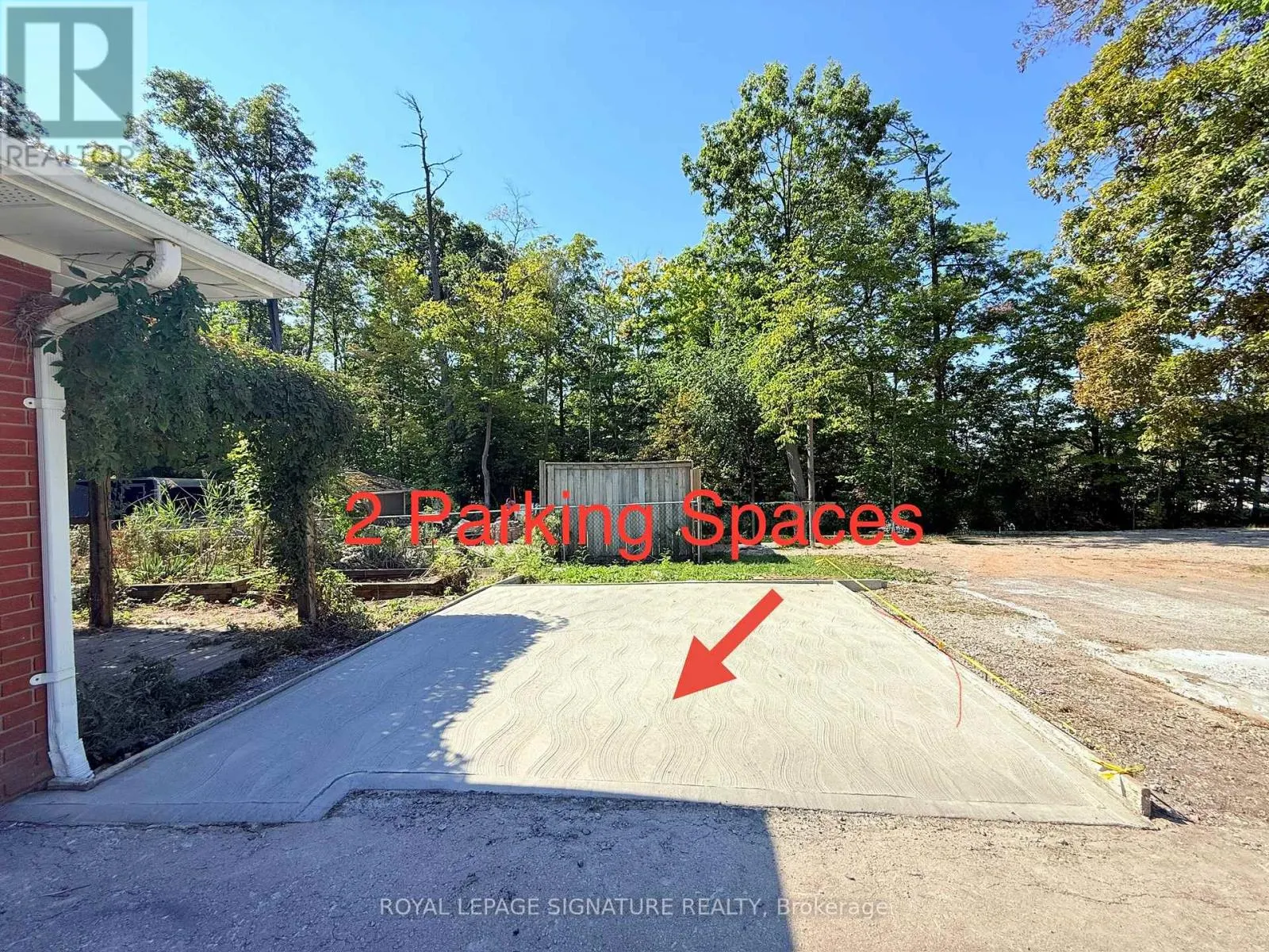 LOWER - 38 BURNHAMTHORPE ROAD W