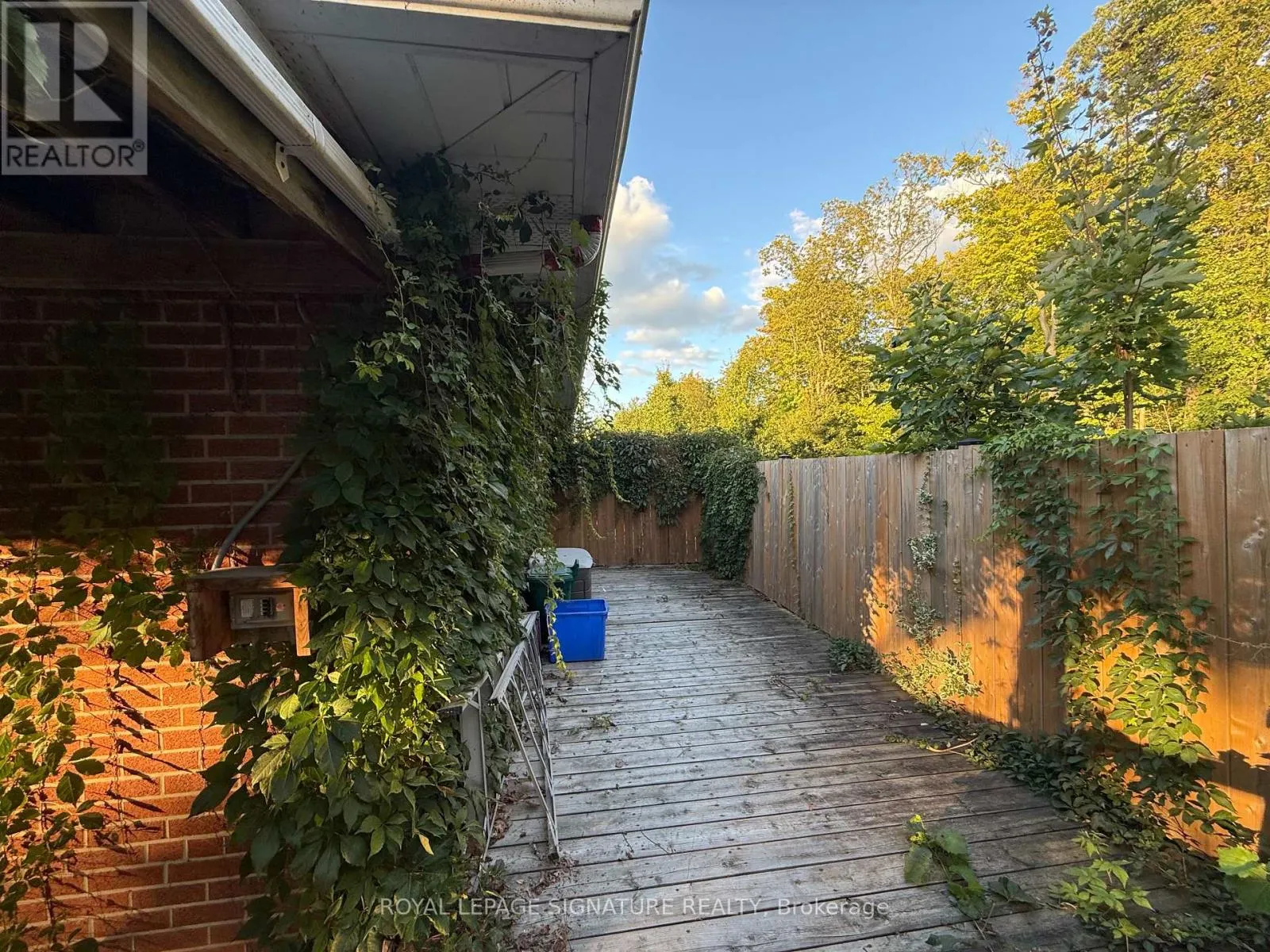 LOWER - 38 BURNHAMTHORPE ROAD W