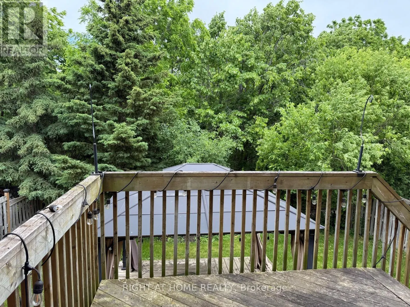 2499 SCOTCH PINE DRIVE