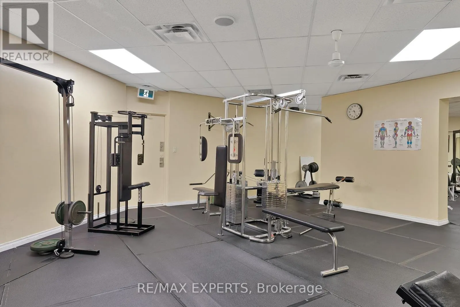 1013 - 390 DIXON ROAD