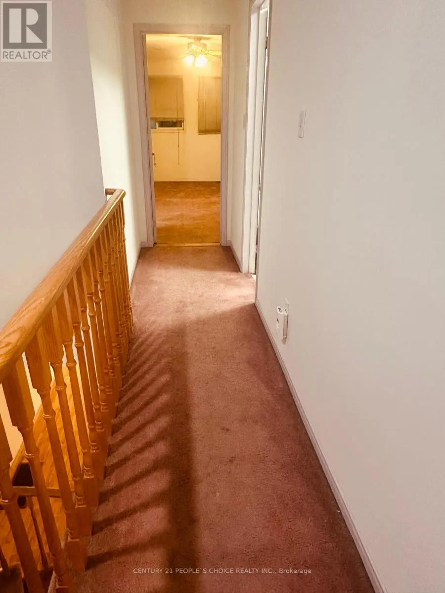 48 YELLOW BRICK ROAD