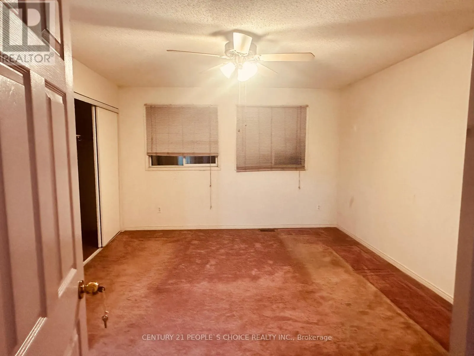 48 YELLOW BRICK ROAD