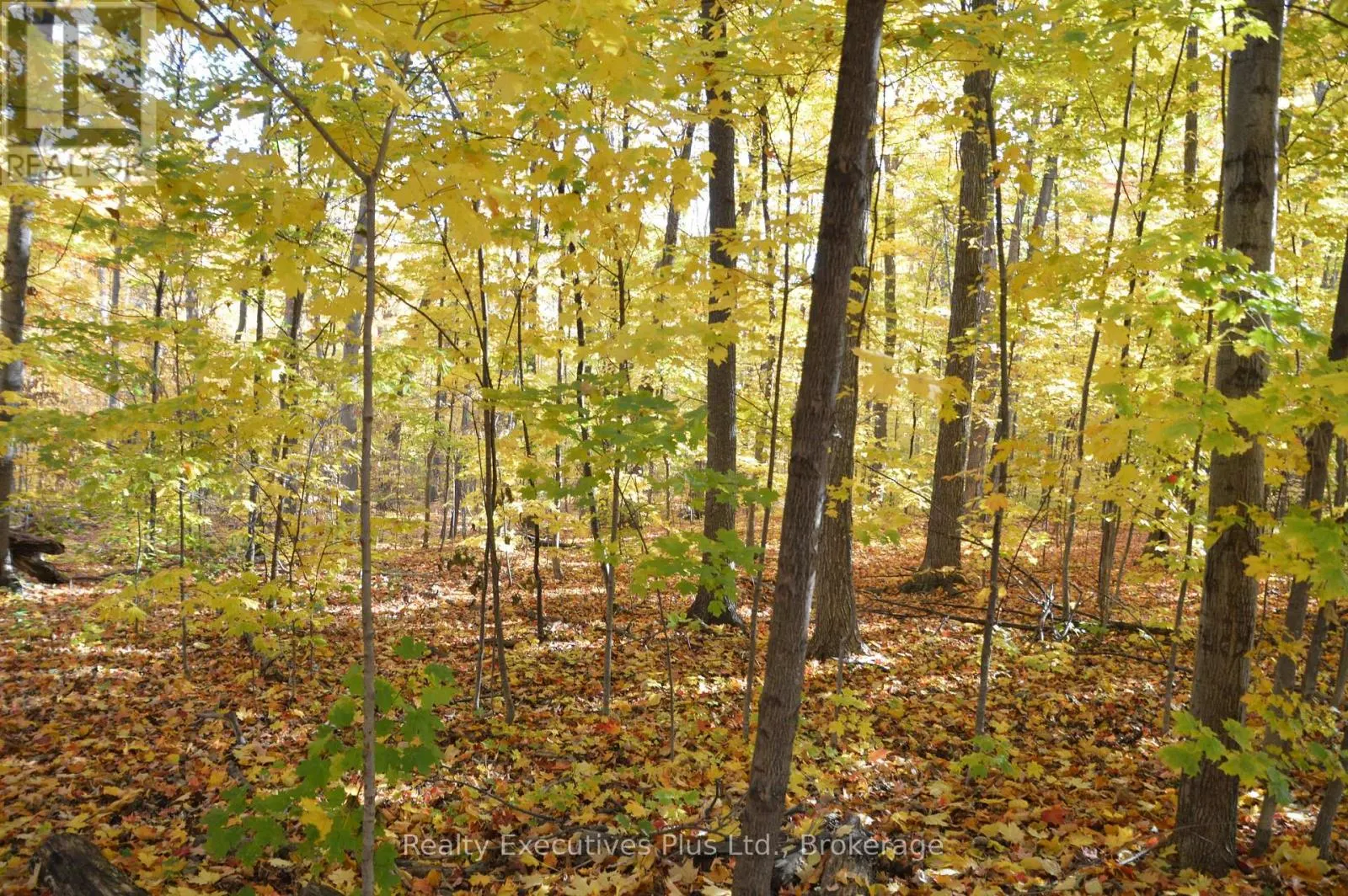 42 - 4200 KILMER DRIVE W, #42