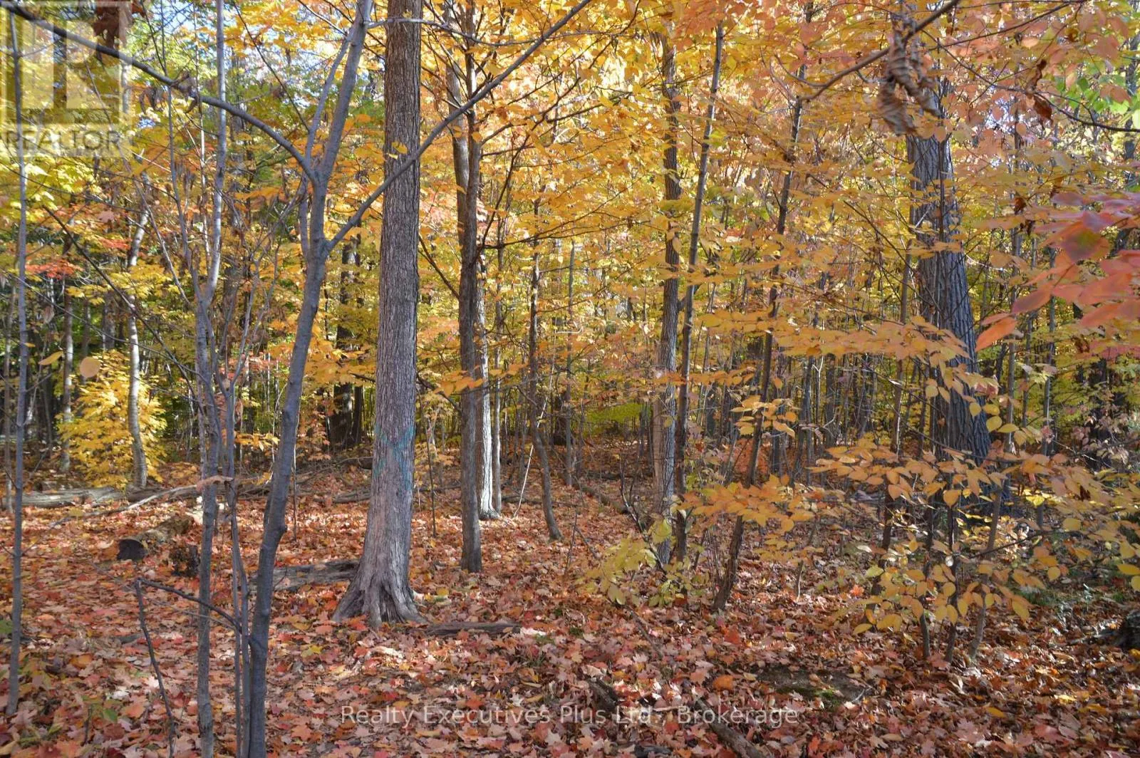 42 - 4200 KILMER DRIVE W, #42