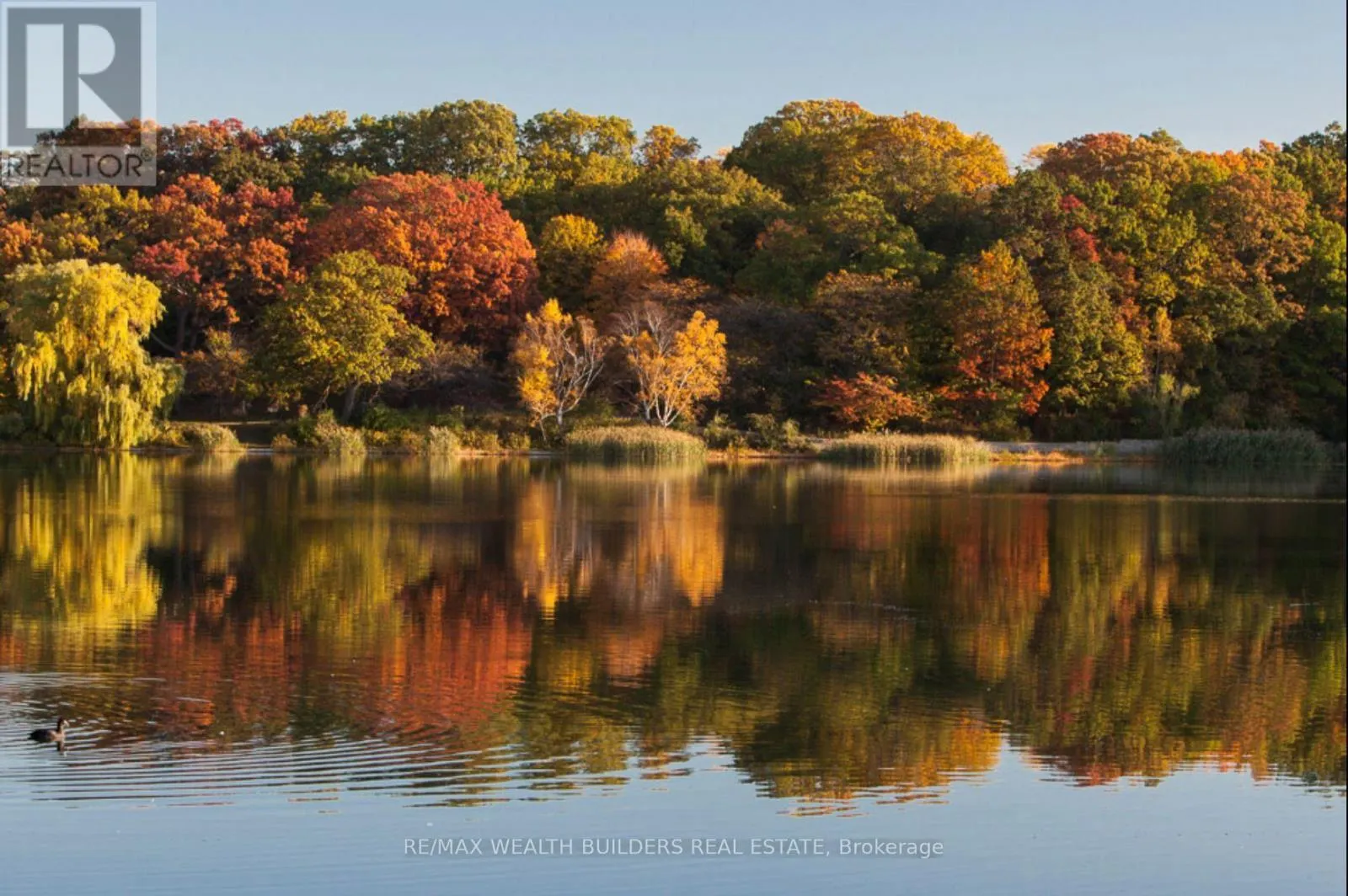 511 - 2118 BLOOR STREET W