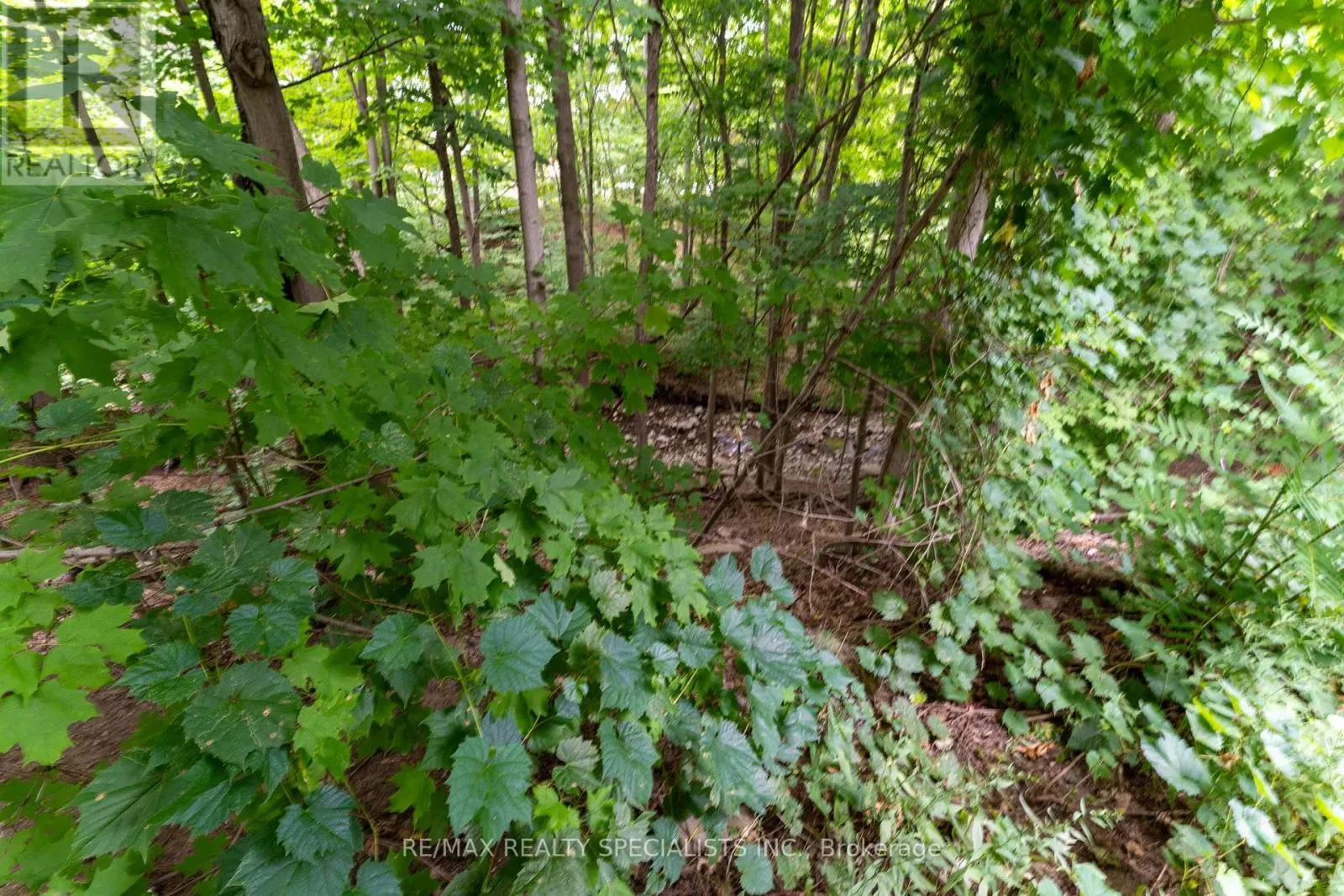 165 - 2050 UPPER MIDDLE ROAD