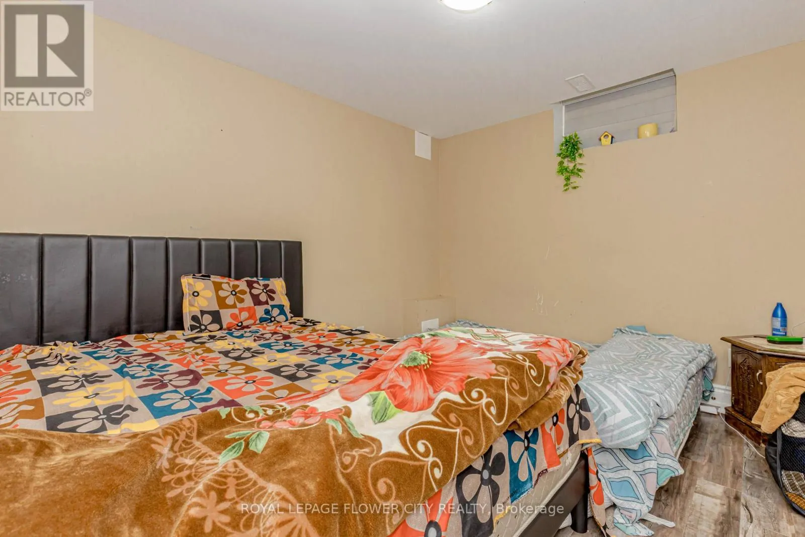 49 SQUIRE ELLIS DRIVE