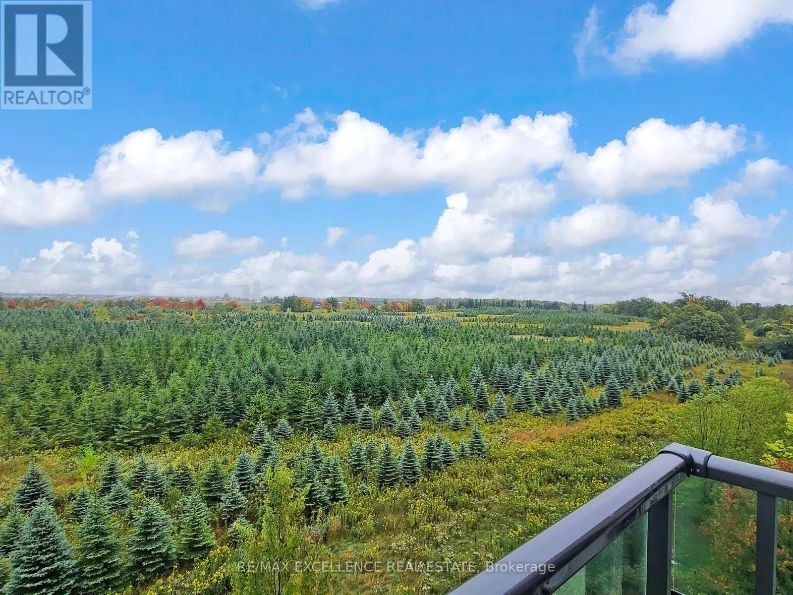 309 - 65 YORKLAND BOULEVARD