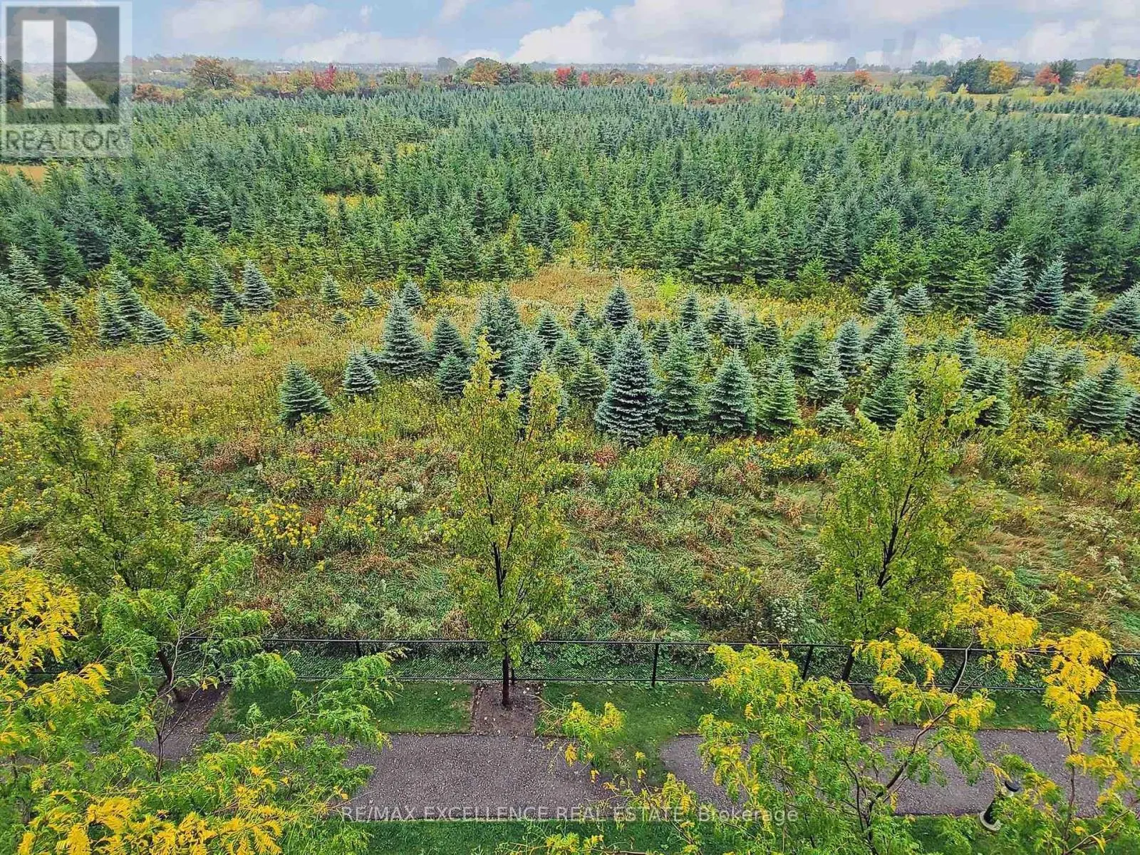 309 - 65 YORKLAND BOULEVARD