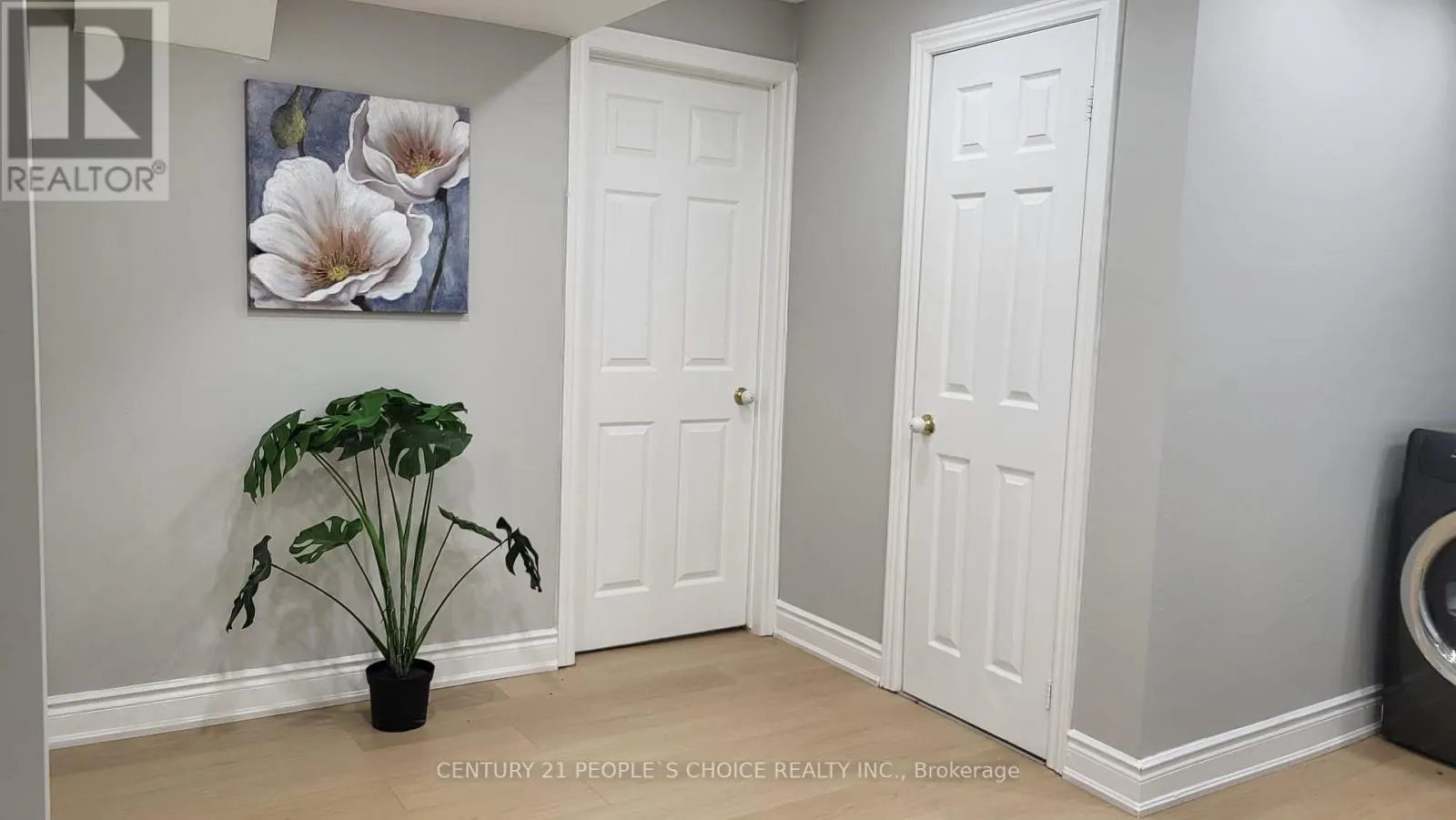 7598 BLACK WALNUT TRAIL