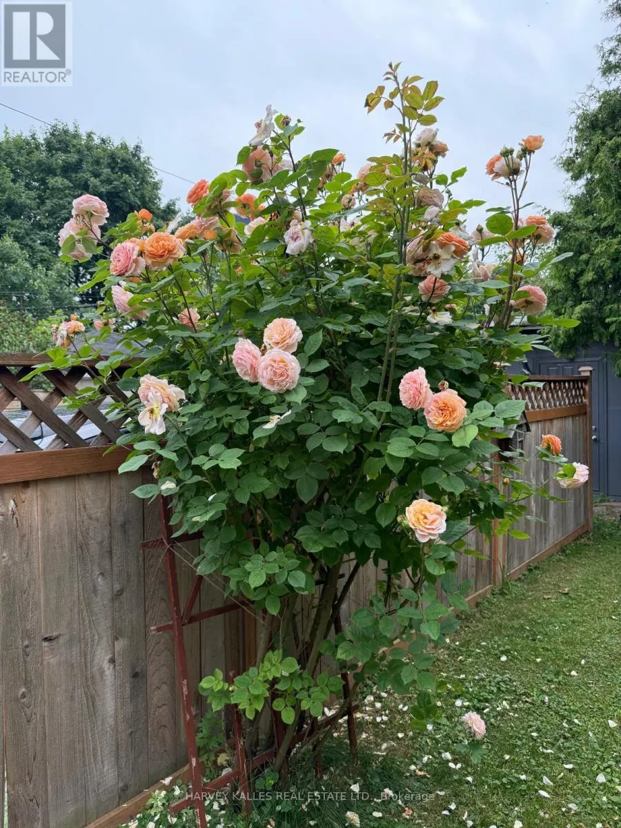 338 BARTLETT AVENUE N