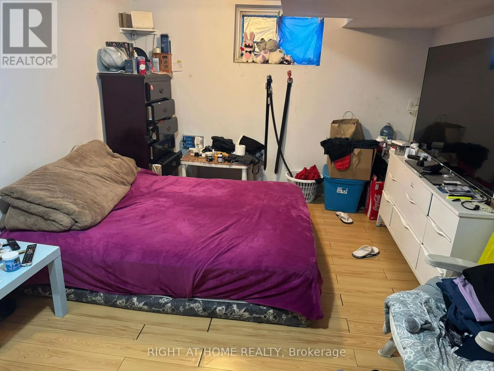 LOWER/BASEMENT - 14 TOFIELD CRESCENT