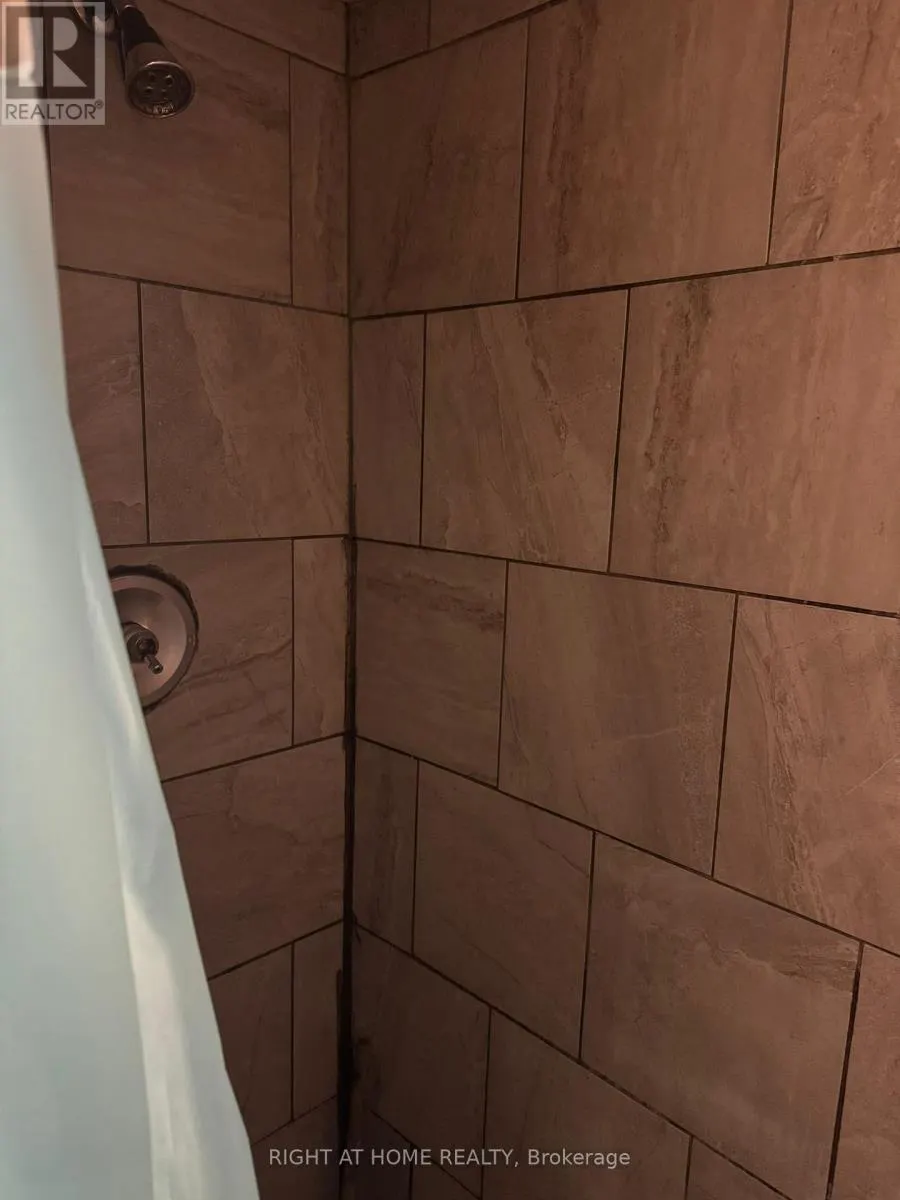 LOWER/BASEMENT - 14 TOFIELD CRESCENT