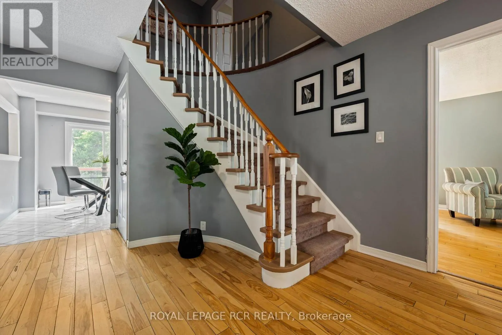 113 MEADOW DRIVE
