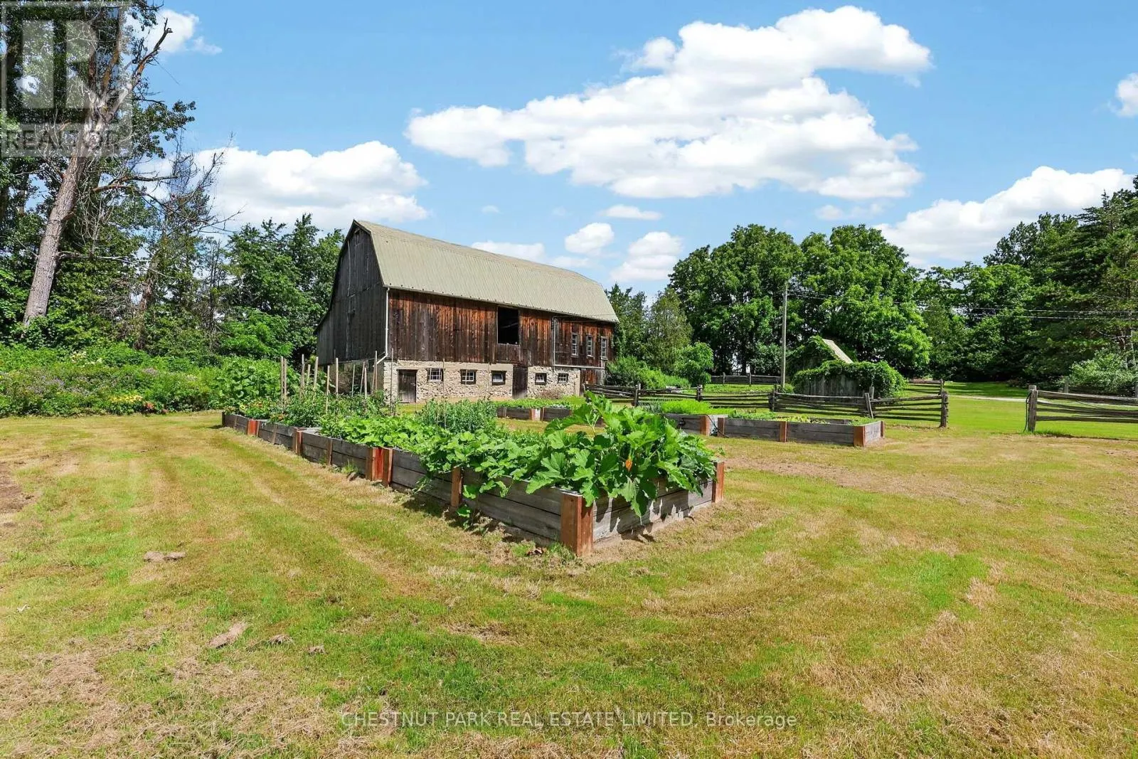 15668 SHAWS CREEK ROAD
