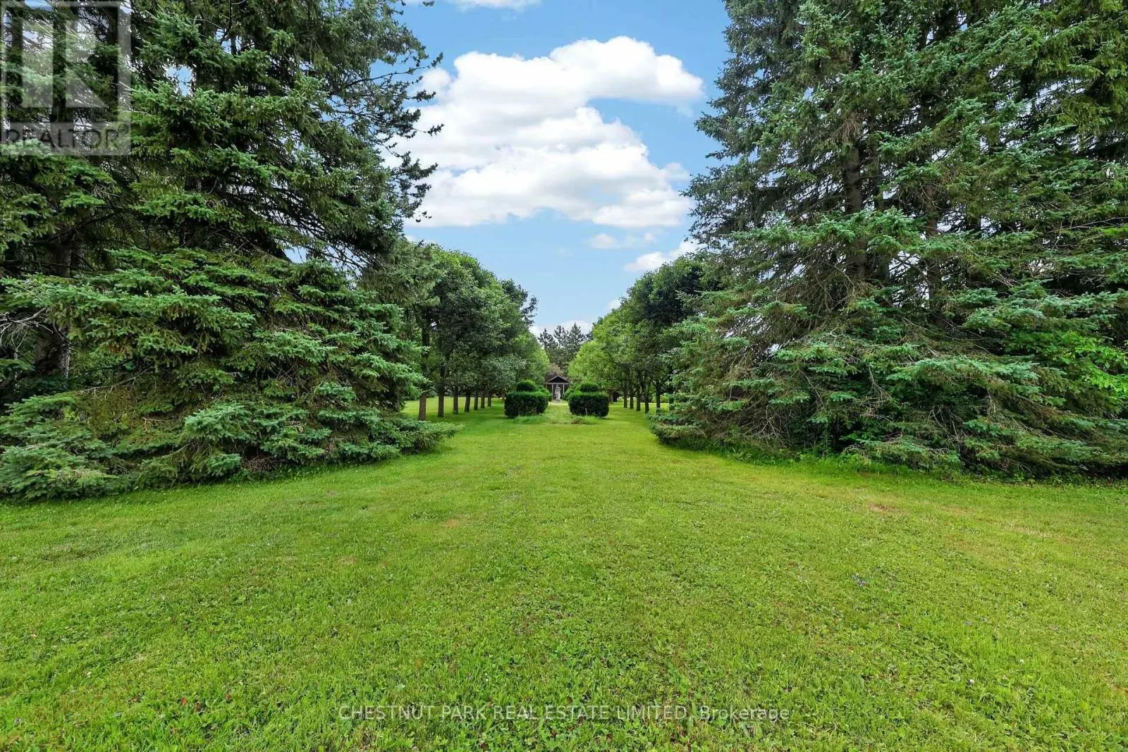 15668 SHAWS CREEK ROAD