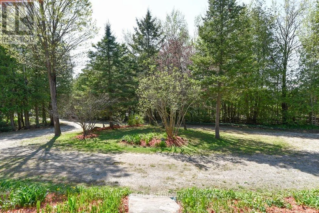 18599 HORSESHOE HILL ROAD