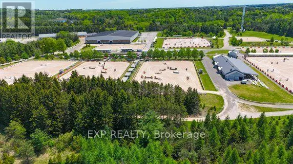 21 EDGEWILD DRIVE