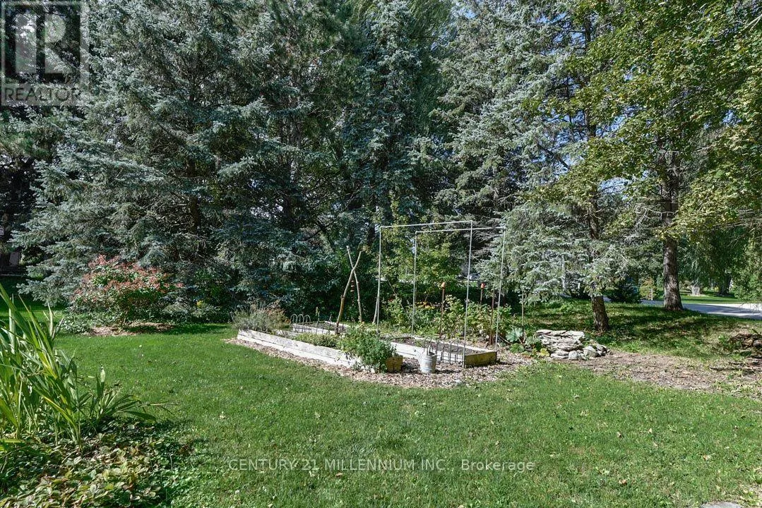1666 SPRUCE DRIVE