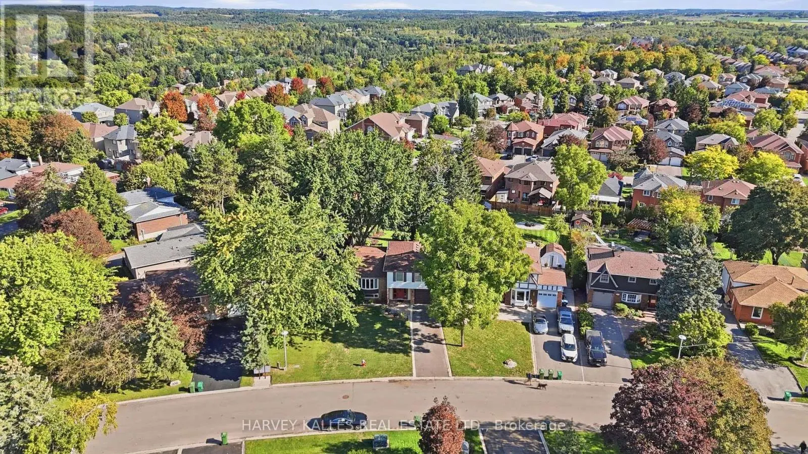 310 NEWLOVE DRIVE