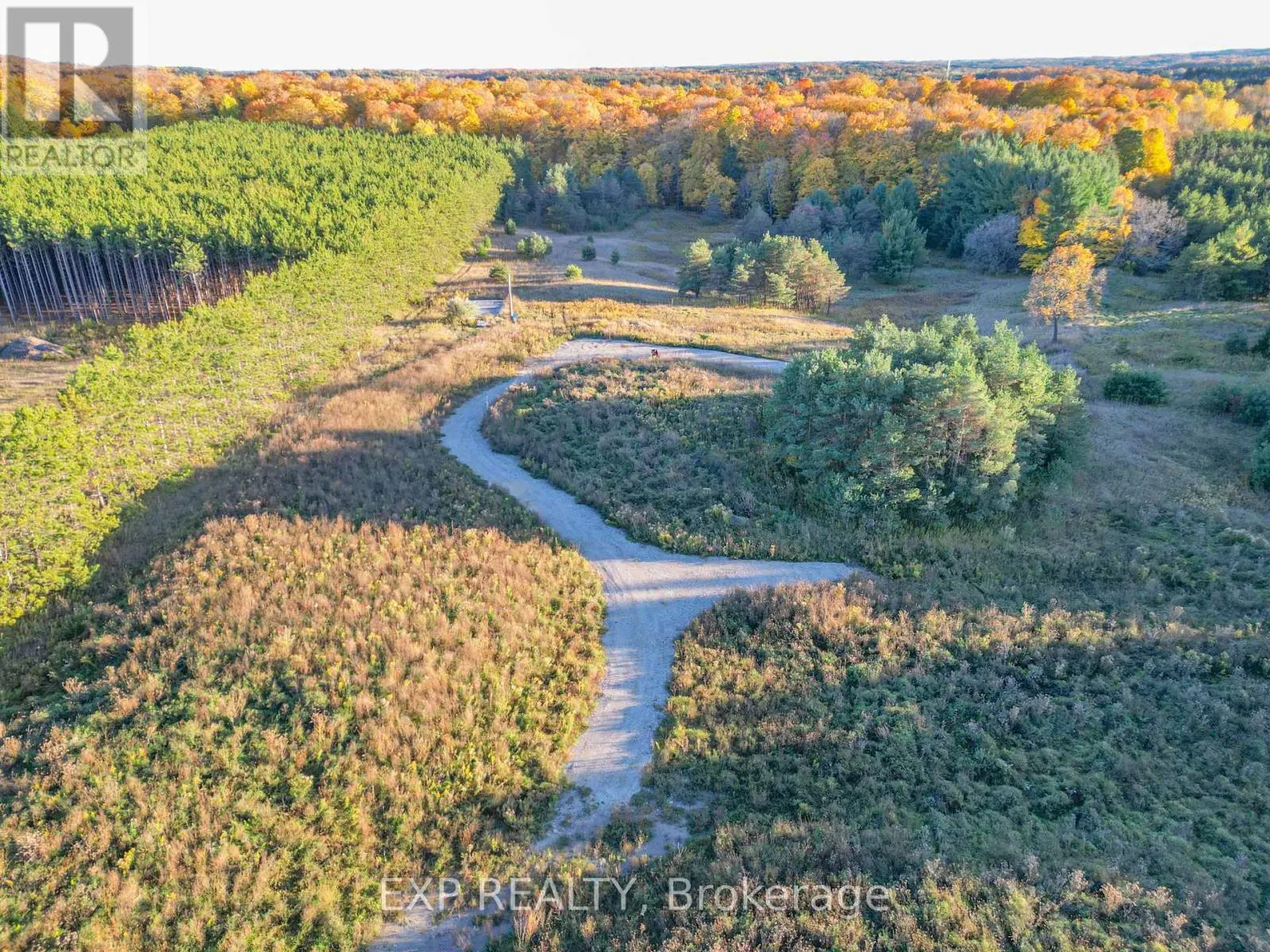 LOT 29 CON. 8 HIGHWAY 9