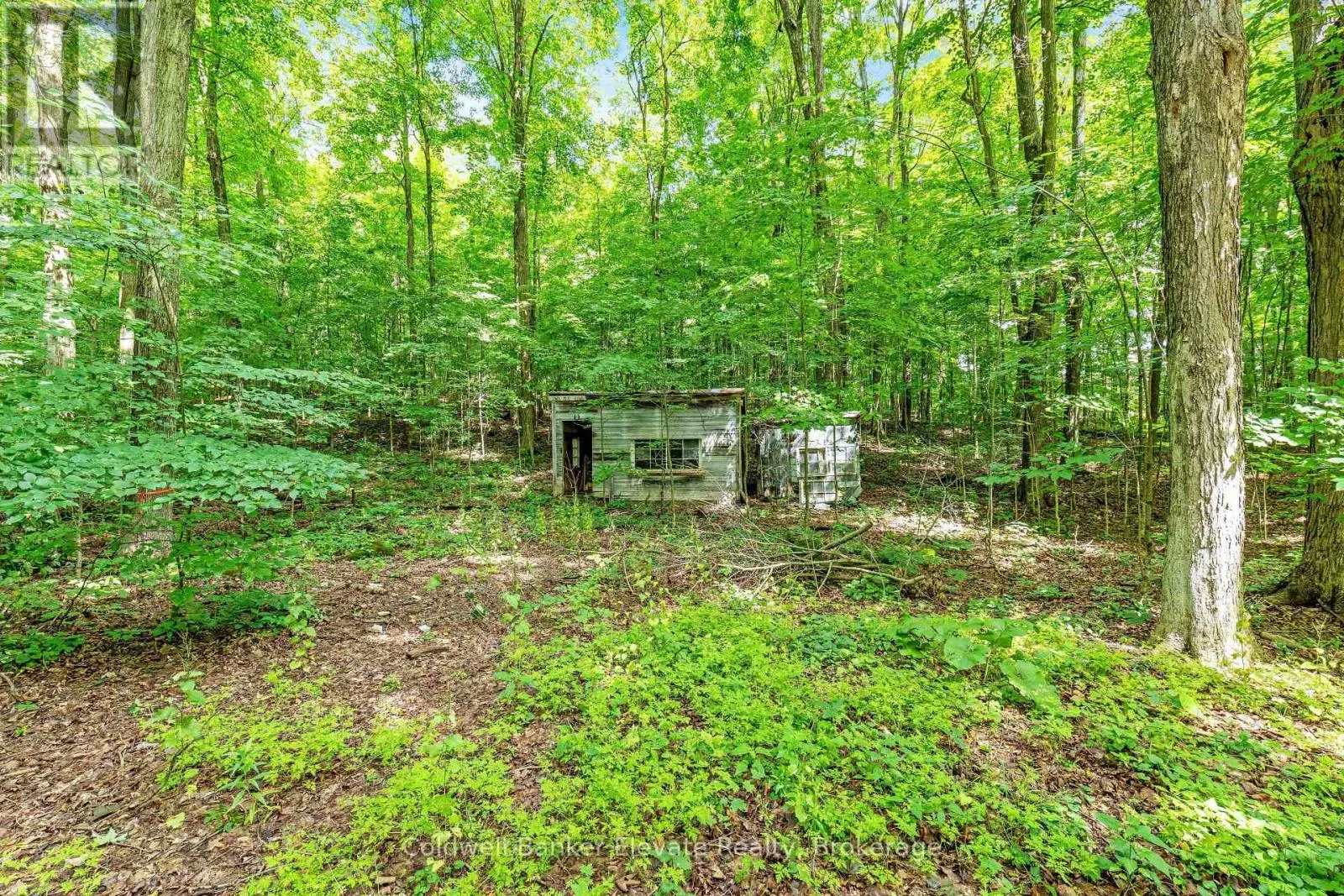 2529 CAMPBELLVILLE ROAD