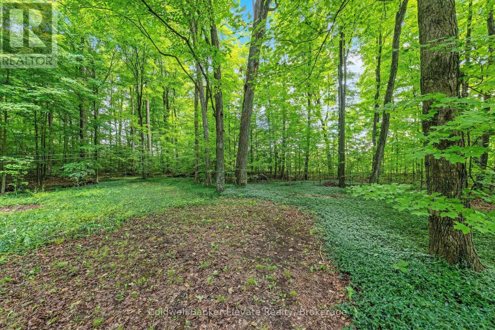 2529 CAMPBELLVILLE ROAD