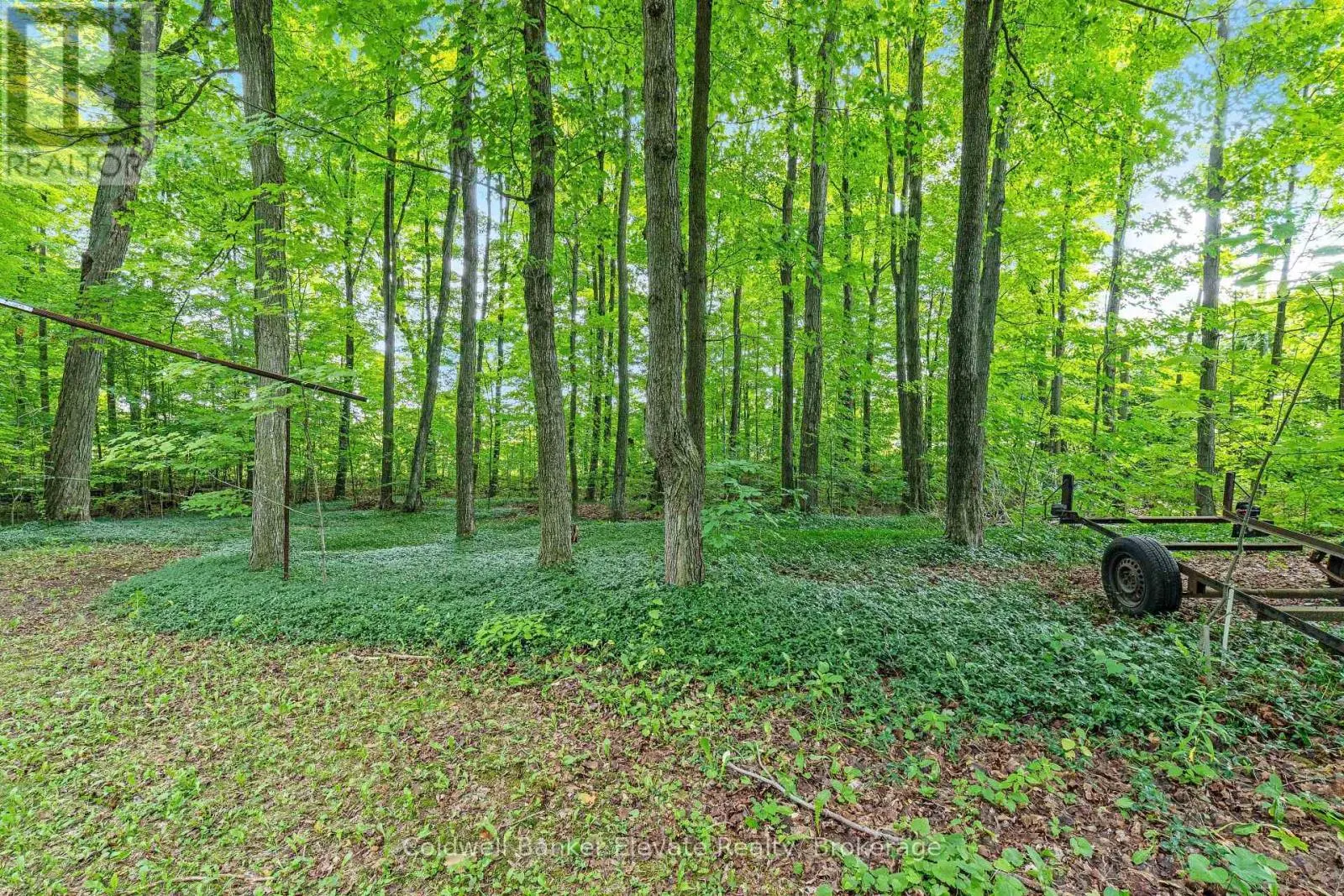 2529 CAMPBELLVILLE ROAD