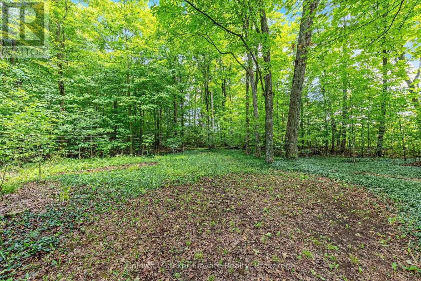2529 CAMPBELLVILLE ROAD