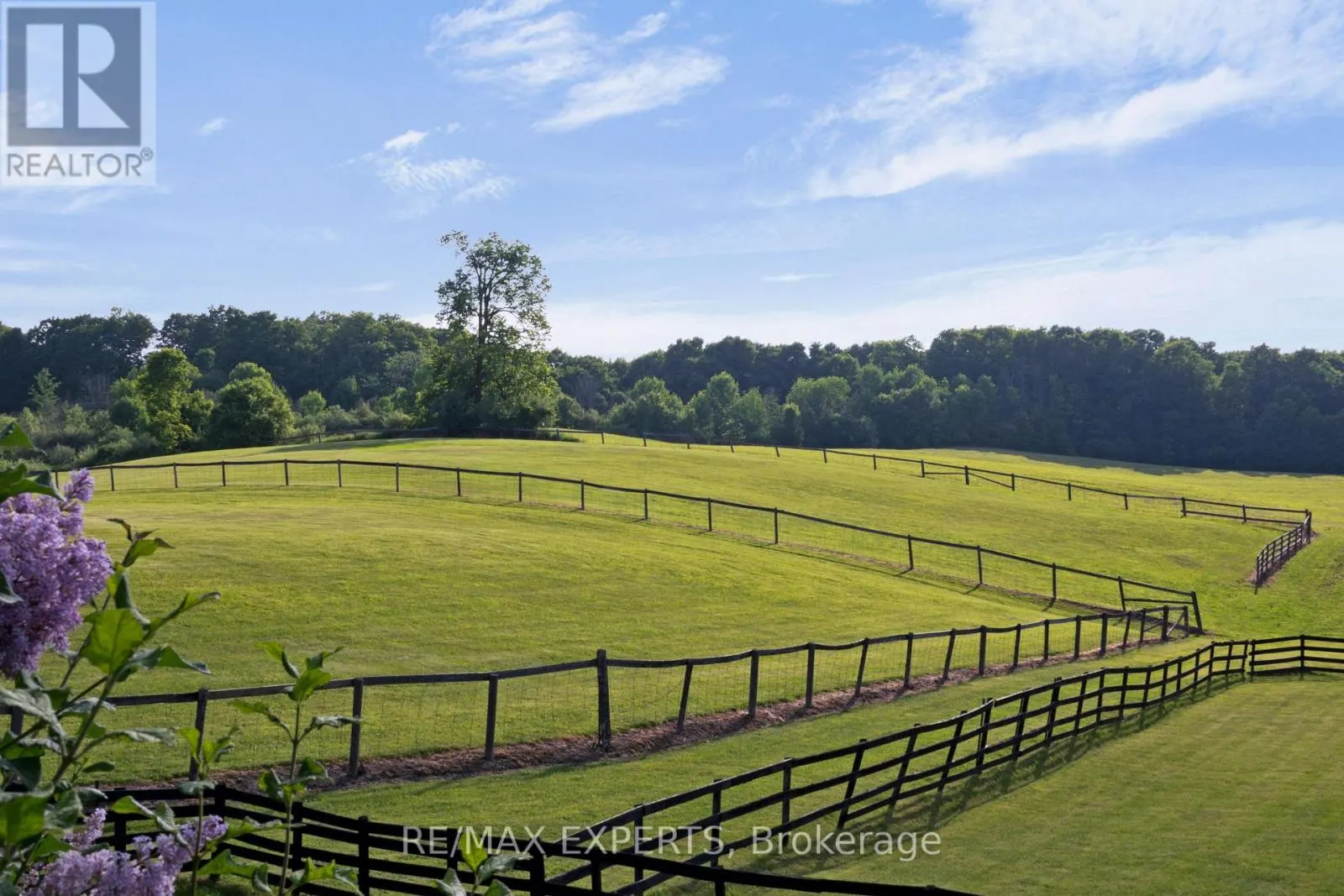 16718 CALEDON KING TOWNLINE N