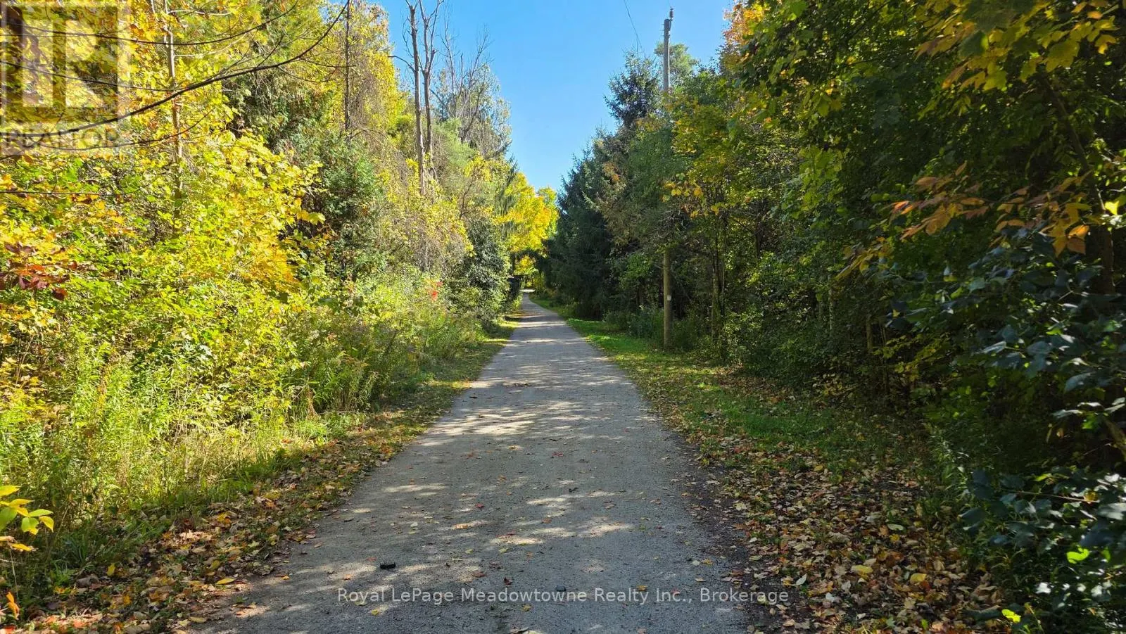 4202 15 SIDE ROAD
