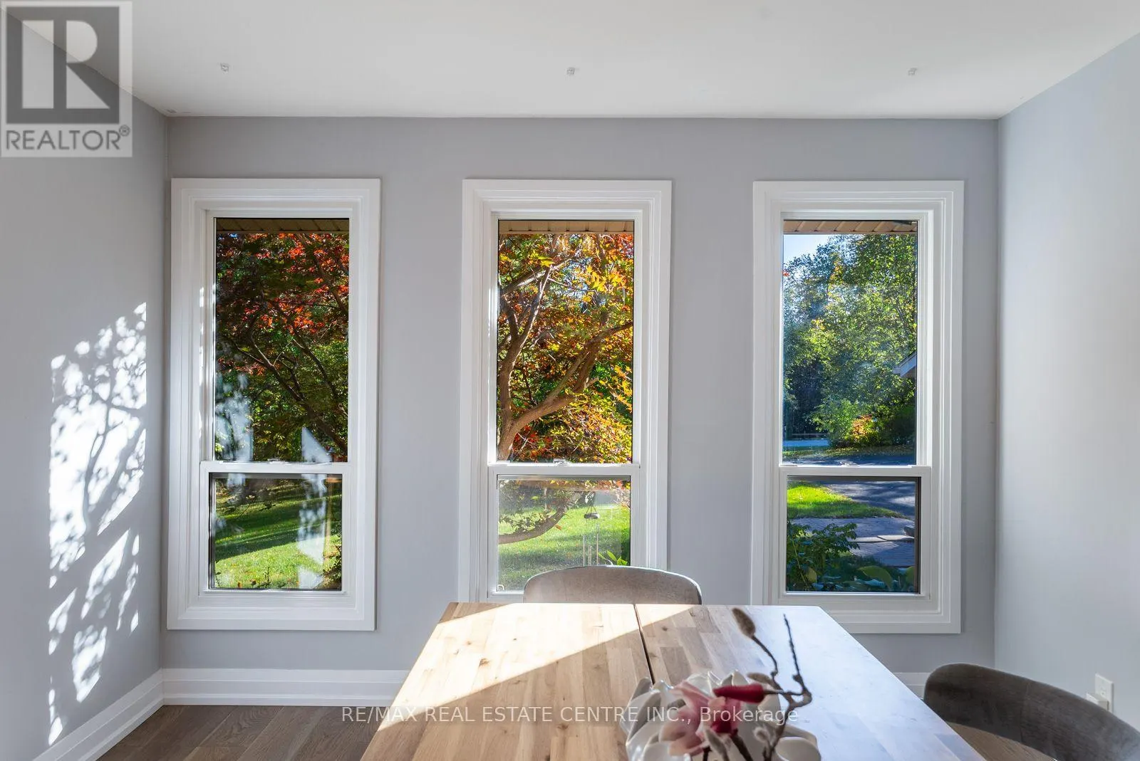 1 CEDAR DRIVE