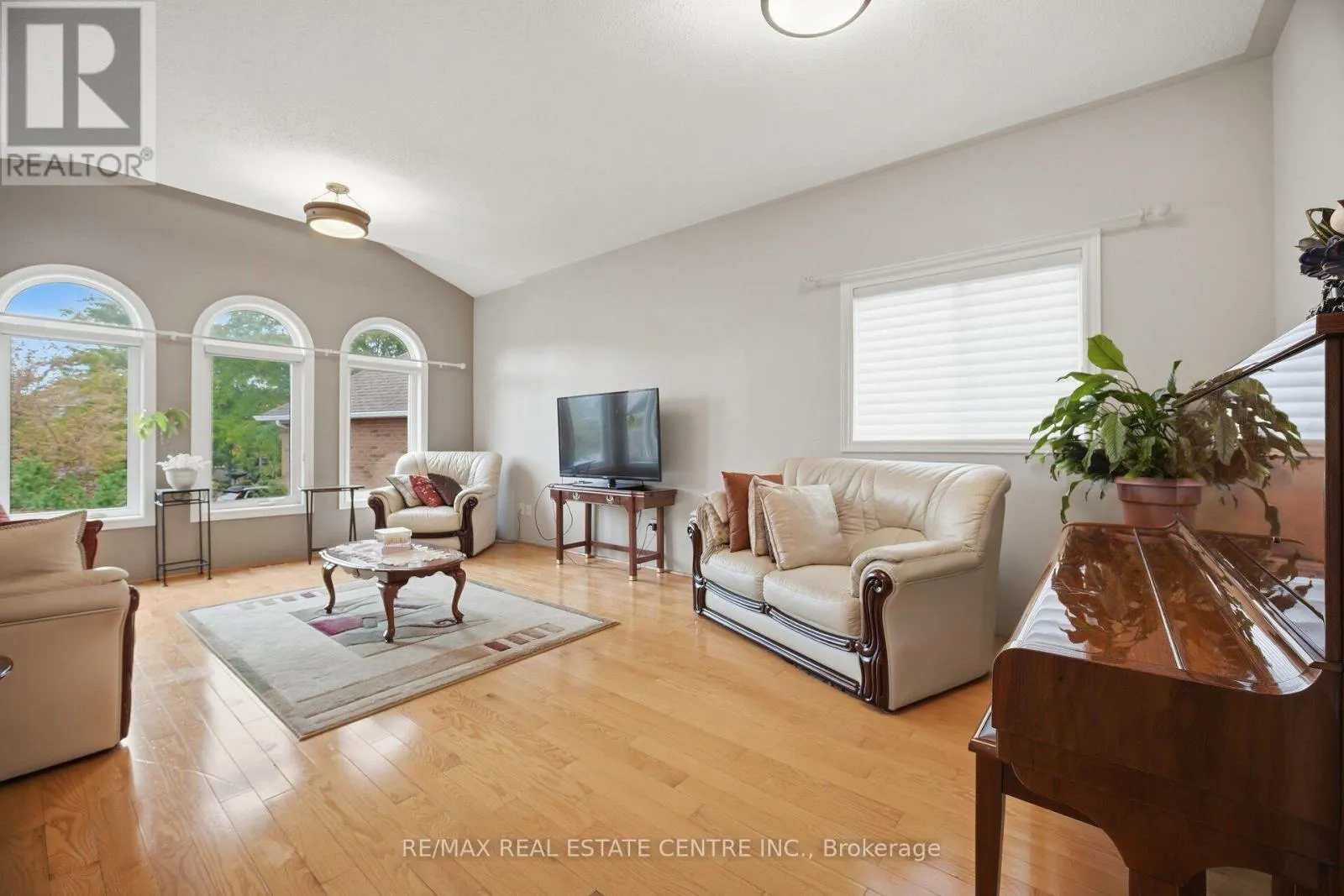 19 AMBERDALE COURT