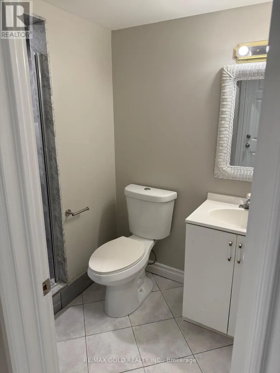 BASEMENT - 41 MOUNTAINBERRY ROAD