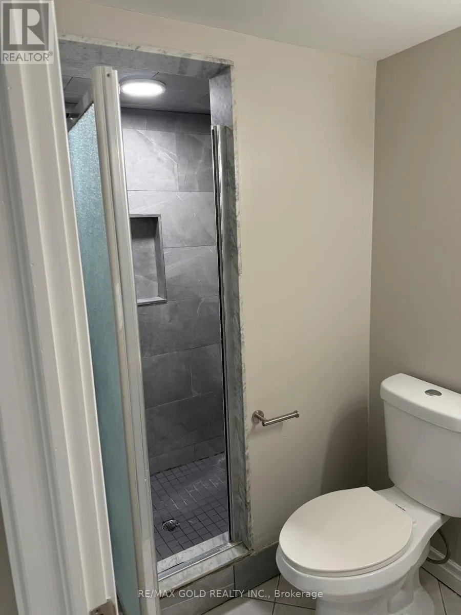 BASEMENT - 41 MOUNTAINBERRY ROAD