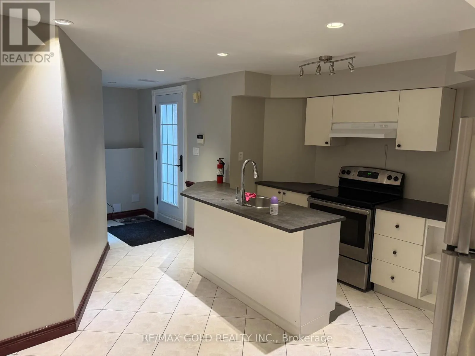 BASEMENT - 41 MOUNTAINBERRY ROAD